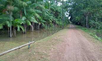 Imagem 2: Sítio Ilha de Santana aceito carro no negócio
