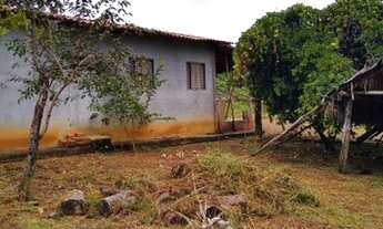 Imagem 7: Chácara 30 km Araguacema