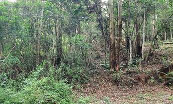 Imagem 4: Terreno com 501m² no Condomínio São Paulo II