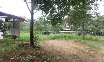 Imagem: Inhumas - Terreno Padrão - Vila Mutirão