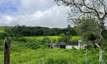 Imagem 4: Belíssima propriedade as margens da BR 101 SUL