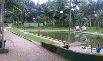 Imagem 3: Sítio 08 Alqueires Serra de Curitiba - analiso trocas