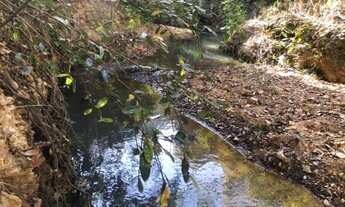 Imagem 7: Lindo sitio de 5.200 m² córregos nos fundos, nascente,Jaboticatubas