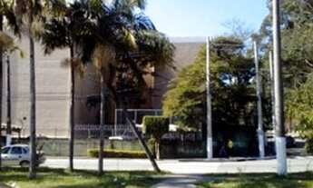 Imagem 3: Apto Parque das Árvores Cidade Dutra