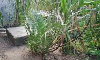 Imagem 7: Vendo casa Casa com 2 dormitórios