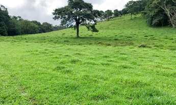 Imagem 4: VC - Vende-se Terreno,Venha conhecer esse lindo local