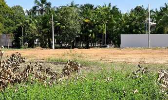 Imagem 5: Área residencial/comercial próximo ao Parque Mutuca Gurupi