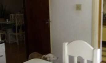 Imagem 3: Sobrado com 3 dormitórios para alugar, 200 m² por R$ 4.000,00/mês - Jardim Soraia - São Pa