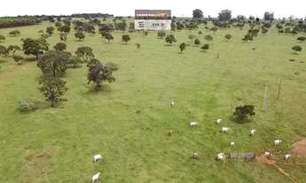 Imagem 2: Fazenda de Oportunidade em Bela Vista ! 22 Alqueires !