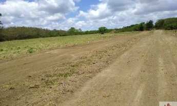 Imagem: Aldeia - Área em Aldeia com 5 Hectares