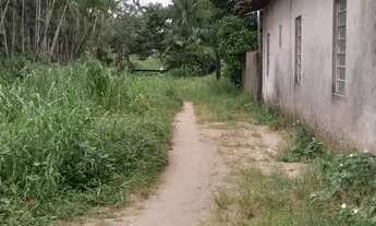 Imagem: VENDO ESSE SITIO EM CAPANEMA 82 MTS FRENTE,216