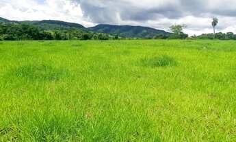 Imagem 2: Chácara em Iporá-GO ! 2.9 Alqueires ! Mega Oferta de Mercado