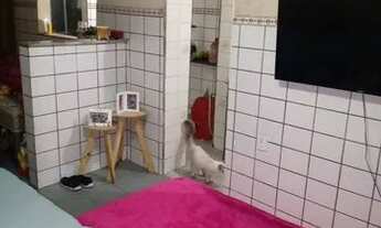 Imagem 3: Casa Vila Próximo Centro de Caxias