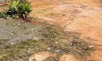 Imagem 3: ARNIQUEIRA: LOTE 530M2, MURADO/PLANO/NASC/ PERFEITO - COND.SÓ CASA TOP (de 650 por apenas