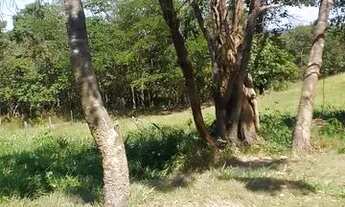 Imagem 4: Chácara em Aragoiania