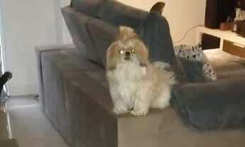 Imagem 2: Apartamento 3 dormitórios Alphaview Barueri