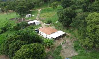 Imagem 7: Fazenda/Sítio/Chácara, 58 hectares, casa, córrego, 40 hectares pasto formado, energPirenó