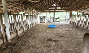 Imagem 2: Sitio 26.8 Alqueires região de Monte Santo - Mau