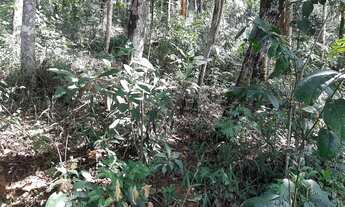 Imagem 4: Lote em condomínio de Macacos/Nova Lima