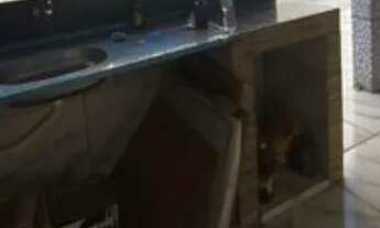 Imagem 6: Casa v.grande - r$ 138 mil