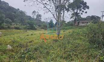 Imagem 3: Terreno para venda, Serra Alta, São Bento Do Sul - TE69