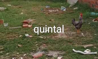 Imagem 6: Casa Casa com 2 dormitórios