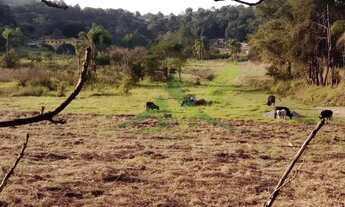 Imagem 5: Terreno à venda em Jardim San Remo, Atibaia: 5.000 m² com ótima topografia