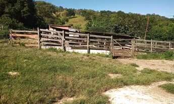Imagem 6: Fazenda/Sítio/Chácara, 58 hectares, casa, córrego, 40 hectares pasto formado, energPirenó