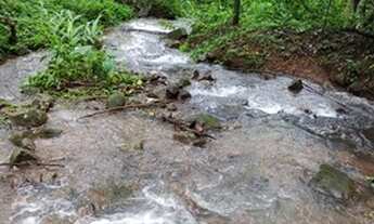 Imagem 3: Chácara em Planalto Alegre - SC
