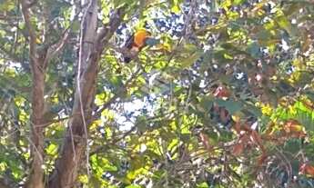 Imagem 2: Jacarepaguá Casa em condomínio com 5 dormitórios