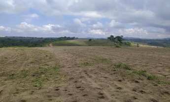 Imagem 4: Fazenda 75 alqueires região de Cassia dos Coqueiros - Don