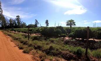 Imagem 4: Chacaras de 2000 a 3000 metros !!