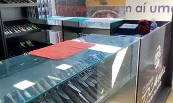 Imagem 3: Vendo loja em plena ascensão