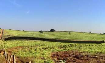 Imagem 4: Sitinho top demais com 6.8 alqueires todo aproveitavel, muito top , eu de voce nao perdia