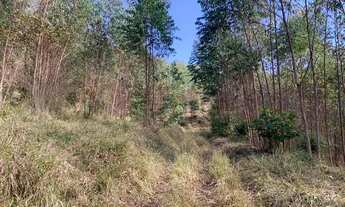 Imagem 6: Terreno com ótima topografia para construção de chacara