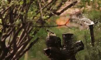 Imagem 4: Terreno para venda possui 700000 metros quadrados em Taíba - São Gonçalo do Amarante - CE