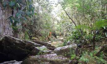 Imagem: Fazenda em Paraibuna - VENDA