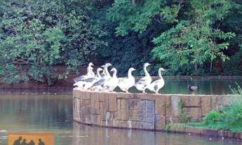 Imagem 4: Terreno à venda, 2192 m² por R$ 1.160.000,00 - Condomínio Residencial Colina - Campinas/SP