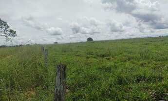 Imagem: 691 alqueires no município Rio dos Boi-TO