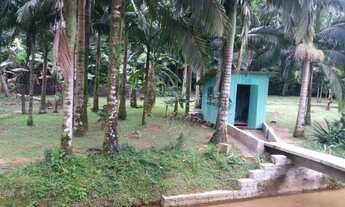 Imagem 6: Sítio 08 Alqueires Serra de Curitiba - analiso trocas