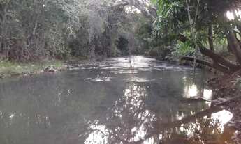 Imagem 7: Lindo baixado 80.000m² com luz, rio nos fundos, mata nativa, Jaboticatubas