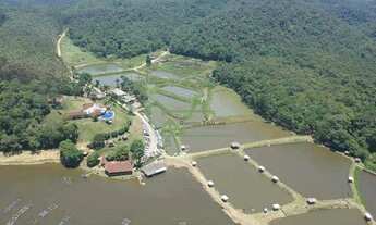 Imagem 2: Fazenda com 8 dormitórios à venda, 1669800 m² por R$ 3.800.000,00 - Zona Rural - Piedade/S