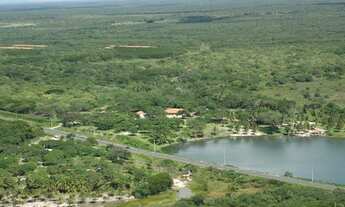 Imagem: Fazenda 302 hectares terra plana muita água