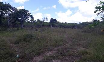 Imagem 6: Vendo troco terreno de granja 1000m da Lagoa do bom fim