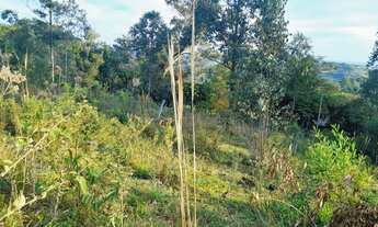 Imagem 3: LINDA CHÁCARA EM SANTO ANTÔNIO DA PATRULHA, RS