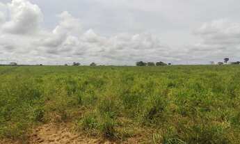 Imagem 7: 691 alqueires no município Rio dos Boi-TO