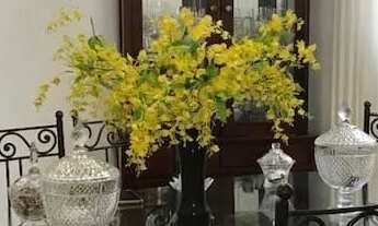 Imagem 5: São Paulo - Casa Comercial - Tatuapé