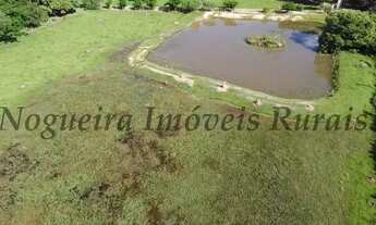 Imagem 2: Sítio com 5 alqueires, casa sede com 3 dormitórios (Nogueira Imóveis Rurais