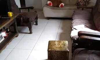 Imagem 5: VENDO EXCELENTE SOBRADO NO SETOR TRADICIONAL SÃO SEBASTIÃO DF - R$ 450.000,00