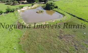 Imagem 5: Sítio com 5 alqueires, casa sede com 3 dormitórios (Nogueira Imóveis Rurais